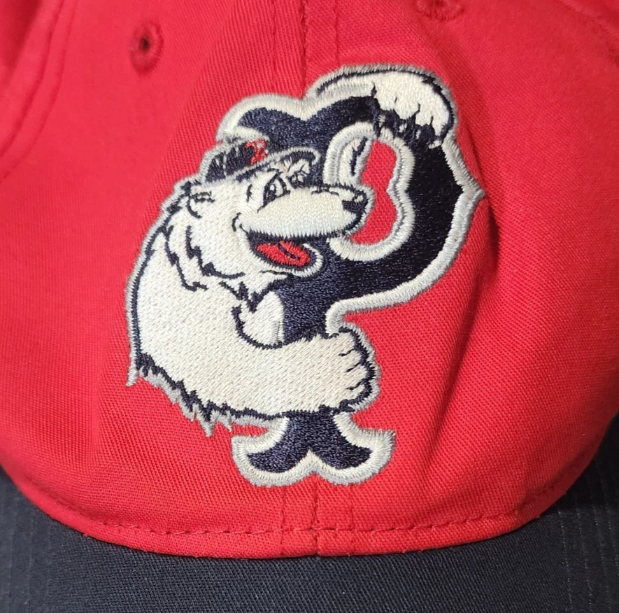 SOMBRERO PAWTUCKET PAWTUCKET ROJO SOX PAWSOX JUVENIL SNAPBACK ROJO AZUL DE COLECCIÓN DESAPARECIDO Foto 4 de 4