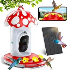Hummingbird Proof Feeder Hanging Feeders Outdoors Camera 2k Hd Ai Identify Solar