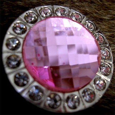 4 Conchos Rhinestone Horse Saddle Western  Pink CO112