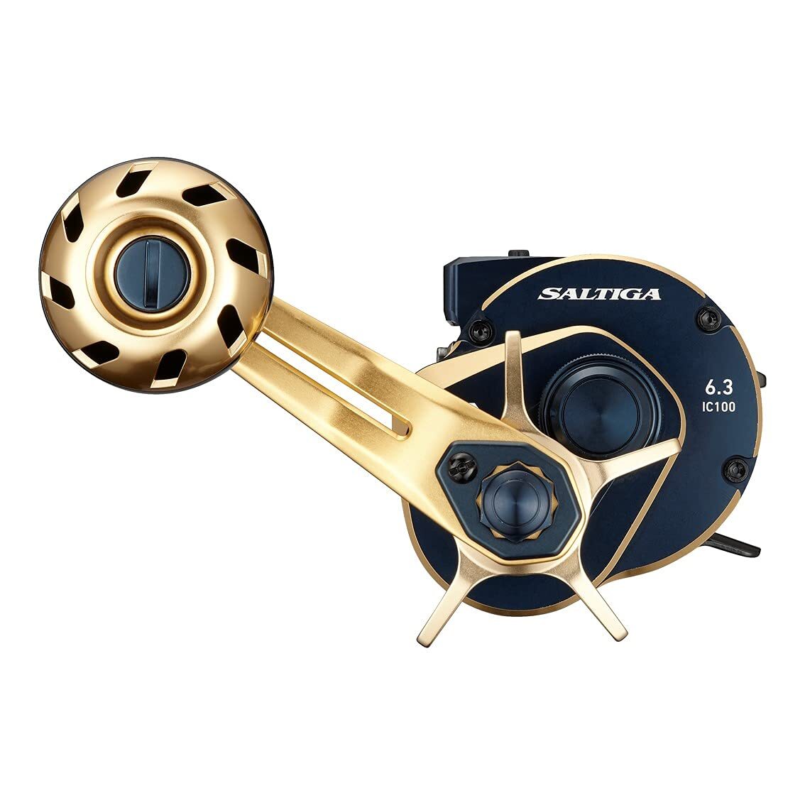 Daiwa 21 SALTIGA IC 100L Baitcasting Fishing Reel | eBay
