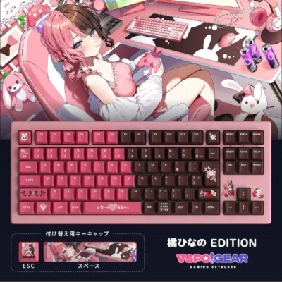 VSPO!GEAR GAMING KEYBOARD 橘ひなの Edition Vspo Gear Gaming Keyboard Hinano Tachibana Edition Used Japan | eBay