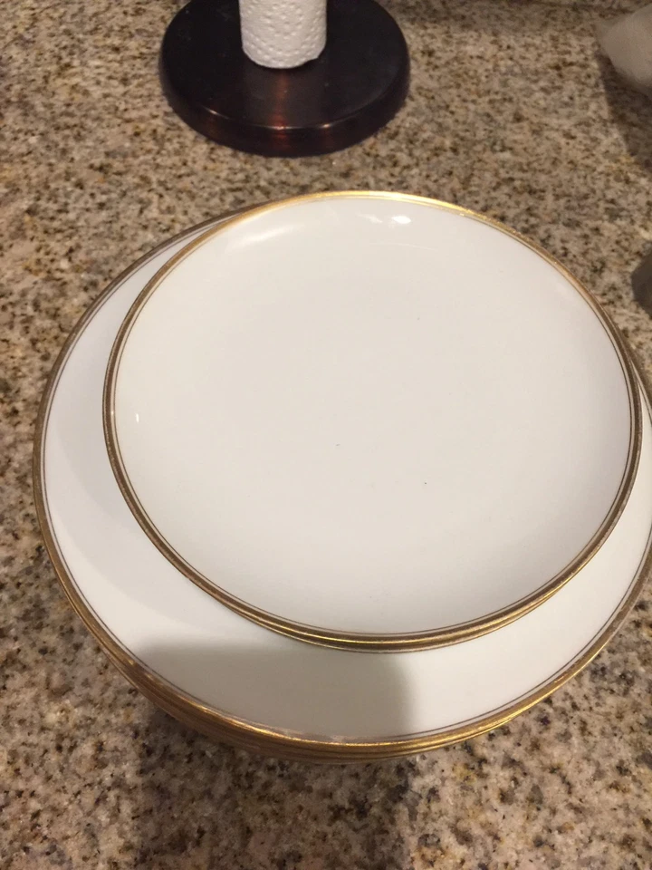 Haviland & Co Limoges para Howell-Dohrmann 5 platos de cena y 3 ensaladas Foto 3 de 4