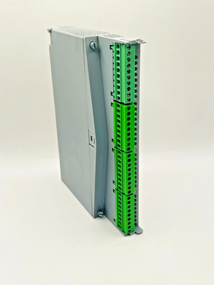 SCHLEICHER UB3210D(E) Digital Input Module Part no: 31409246 UB 32 10D (E)
