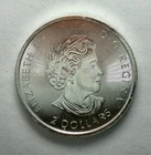 2018 Canada 1/2 oz .9999 Fine Silver Polar Bear BU