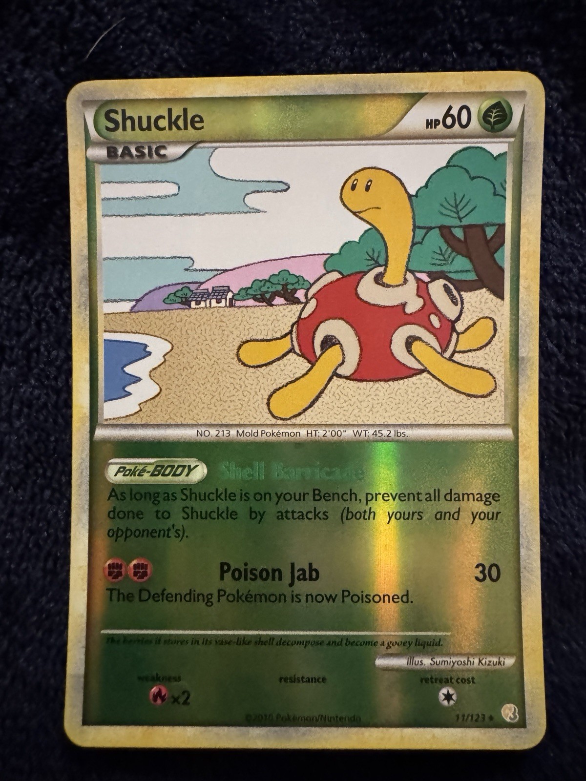 Shuckle 11/123 Heartgold & Soulsilver Reverse Holo