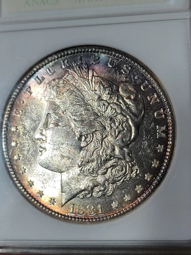 1881 S $1 Morgan Dollar MS62 ANACS "soapbox' Toned #RE5779