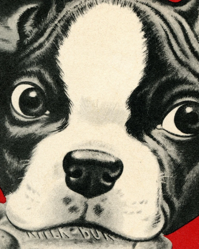 Vintage DOG POSTER! (up to 24 x 36) - 1950s Milk Bone - Boston Terrier - Pop Art - Image 2 of 4