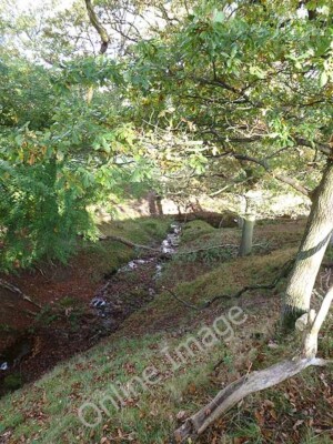 Photo 6x4 Stream below Shaws Farm Beltingham The Pathfinder map indicates c2011