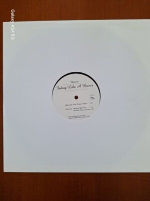 Mysterio - Fading Like A Flower 12' Vinyl Da Music 2004 very good