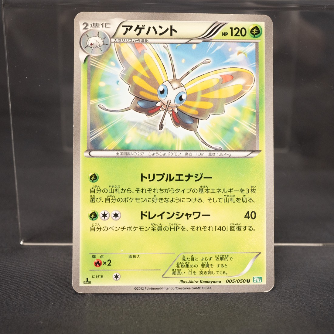 [LP] Beautifly 005/050 BW  Pokemon Card TCG Japanese