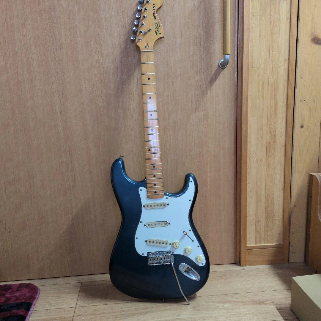 25+ Tokai Silver Electric Guitars for sale | Updated Oct 2026