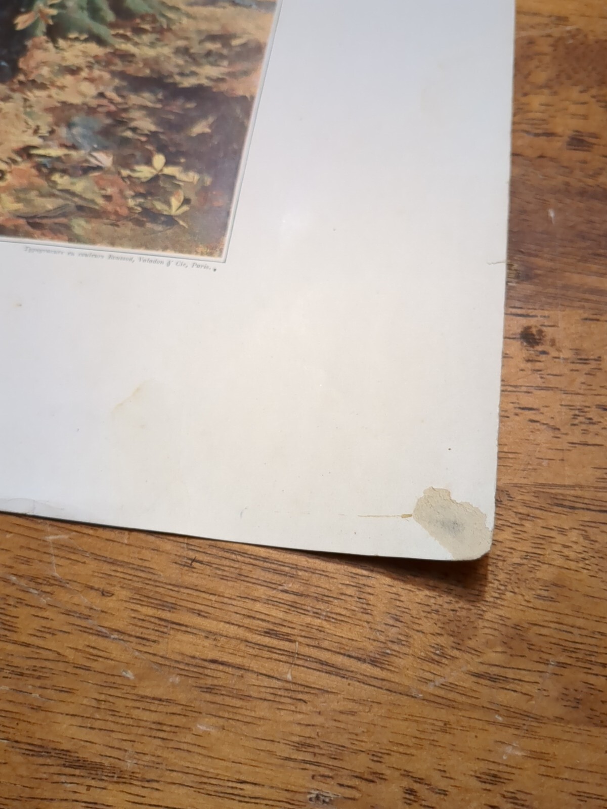 Picture 6 of 13