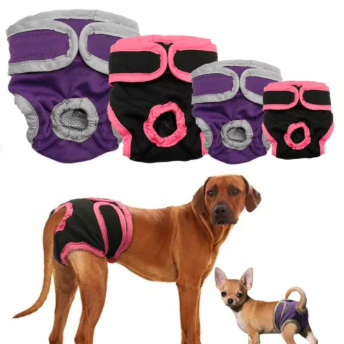 Pantalones higiénicos fisiológicos para perros bragas para cachorros ropa interior ≌