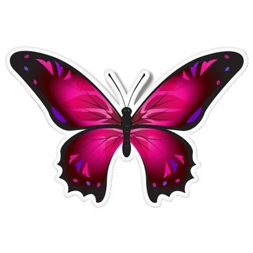 Mariposa Decoración Tropical Calcomanías y vinilo arte