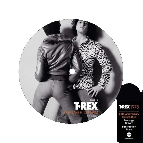 T. Rex Vinyl Records Rock Single