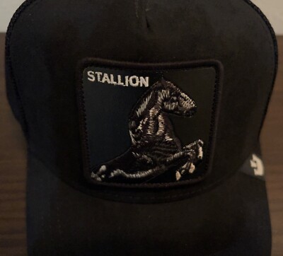 Goorin Bros Horse Play Furry Hat Horseplay – Goorin Bros main image 2