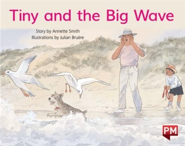 PM YELLOW TINY & THE BIG WAVE PM STORYBO - Image 2