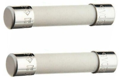 EXP20A Microwave Ceramic Fuse, Fast Blow, 20A. 250V Replaces 14QBP20CFB  2 PACK*
