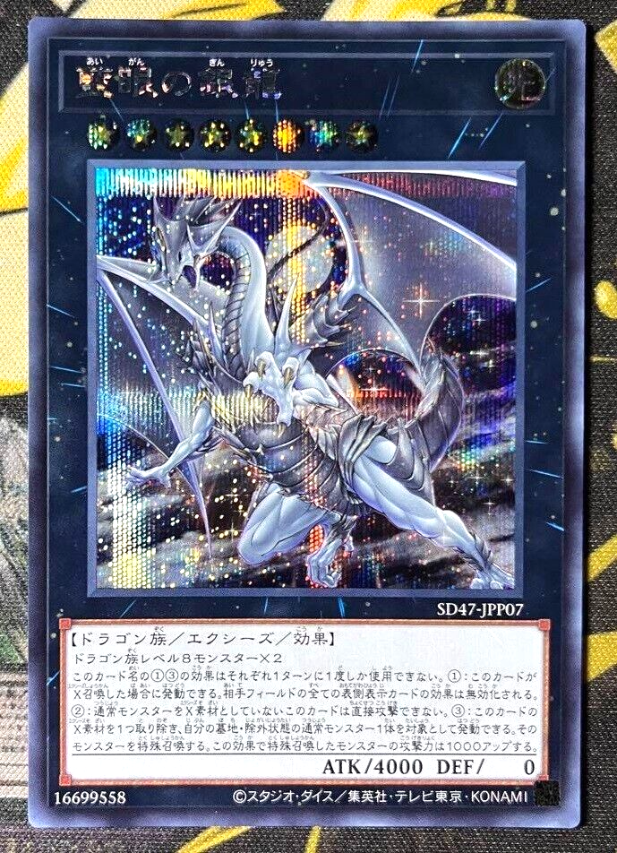 DRAGON D1 （JJ SILVER ION） D1 OTG Snow Goggles with Bonus Lens