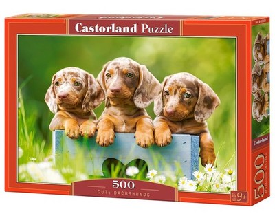 Castorland 500 Piece Jigsaw Puzzles, Cute Dachshunds, Animal Puzzle, Dogs, Puppi