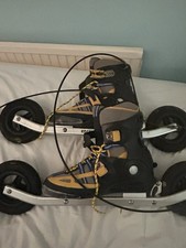 off-road inline skates (Nordic skates or all-terrain inline skates).