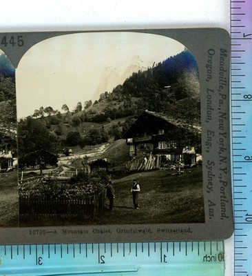 A Mountain Chalet Garden Grindelwald Switzerland Keystone Stereoview