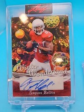 Leaf Metal Anquan Boldin Winter Wonderland 1/1 Auto 