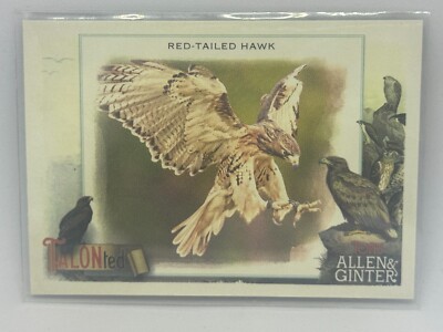 Red-Tailed Hawk Talonted 2023 Topps Allen & Ginter Baseball # TT-20