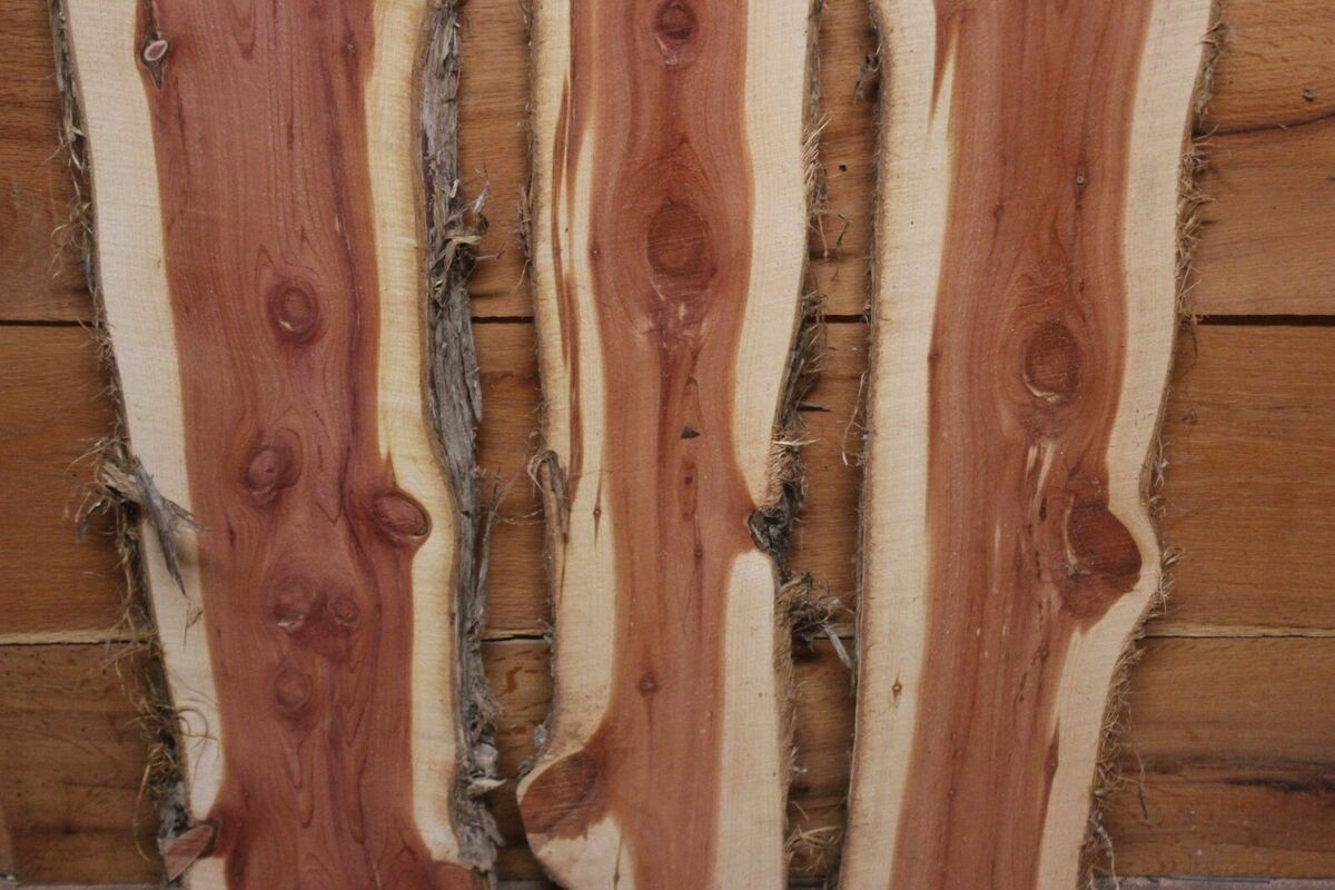 Three Red Cedar Live Edge Wood Slab Lumber Rustic Woodwork 24in Raw