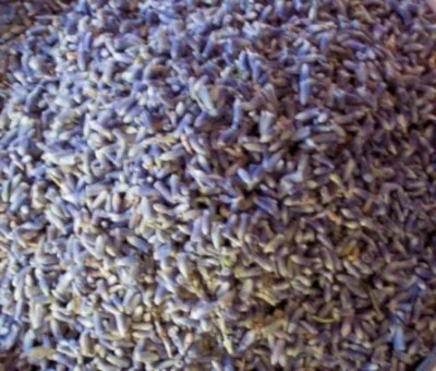 Getrocknete Lavendelblüten, extra starker Duft, Basteln, Konfetti, Potpourri, Schlaf - Bild 1 von 2