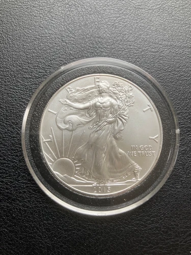 2013 American Silver Eagle Coin. brilliant uncirculated .999 Silver w/case