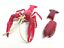 thumbnail 1  - Takara kaiyodo FRESHWATER CRAYFISH crawfish lobster figure removable exoskeleton