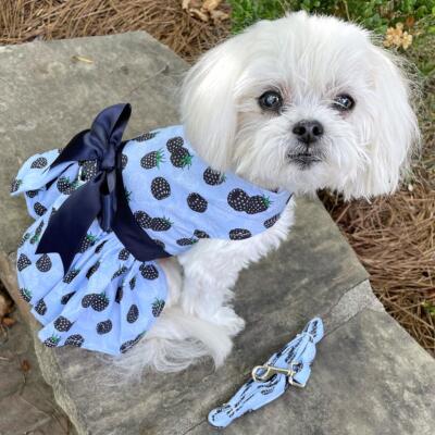 Doggie Design Blackberries Dog Dress with Matching Leash XS-S-M-L-XL