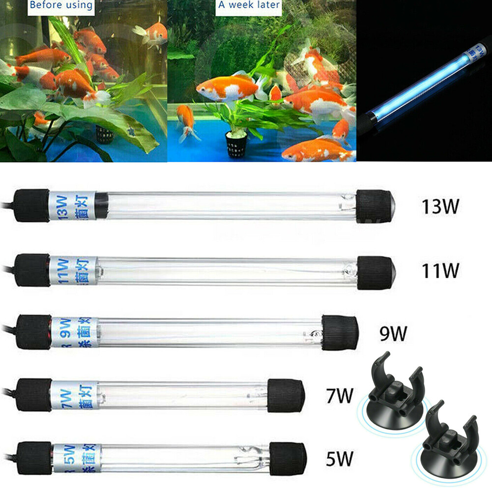 submersible uv light