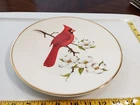 Avon collectors plate "cardinal" 1973 Avon