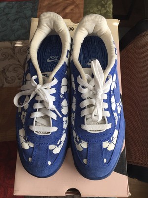 nike sb zoom fc doernbecher