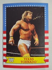 2017 Topps WWE Heritage SummerSlam All-Stars - #29 TEXAS TORNADO