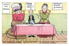 rp17331 - Suffragette Comic - The Muzzling Order - print