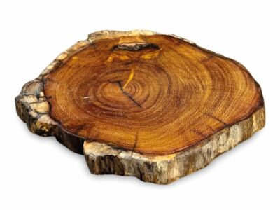 4er Set Holzuntersetzer - echte Baumwurzelscheibe Holz Teak Getränke Geschenk - 10-17cm