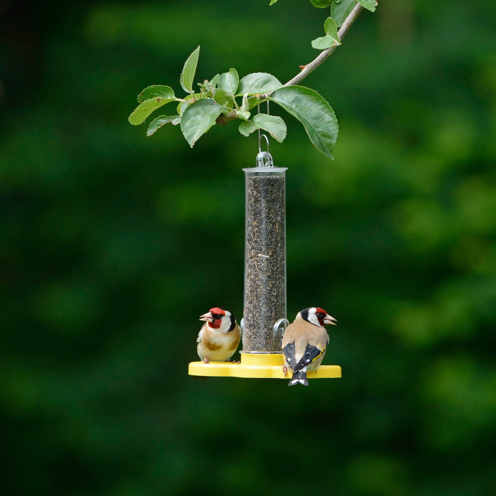 Jacobi Jayne Wild Bird Feeder Filled FREE Niger Seed 2 Port Holder