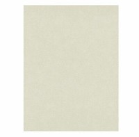 Erismann Tapete Vlies Myself 6862-14 Creme Beige Glitzer Uni