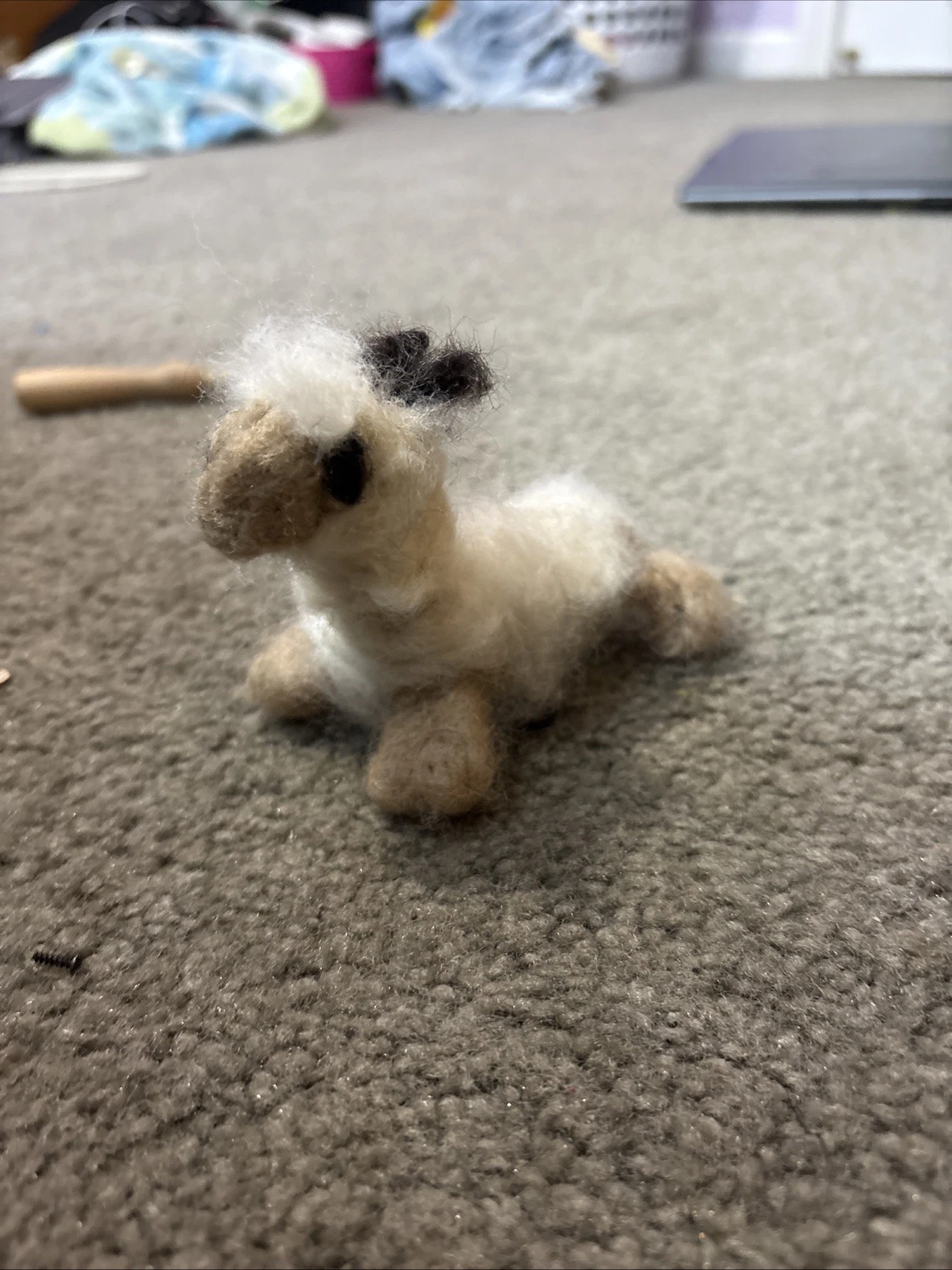 Picture 5 of 5