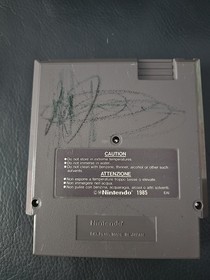 Disney's Adventures in the Magic Kingdom, NES PAL