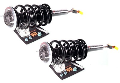 2x Komplett Stoßdämpfer Federbein Satz Vorne für VW Passat 4-Motion 1996-2005
