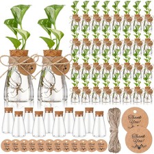 48 PCS 3.35 Inch Plastic Plant Propagation Station Hole Lid Vase Garden Gift