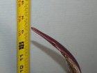 Photo 12/13