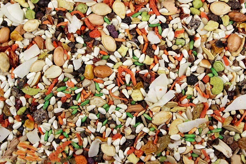For Small Parrots (4 Lbs)