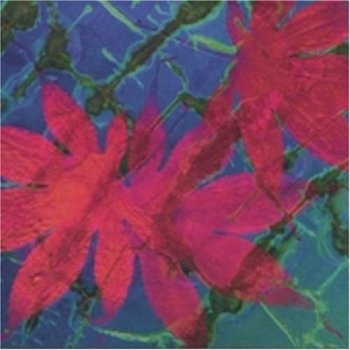 35th Parallel Green Vine (CD)