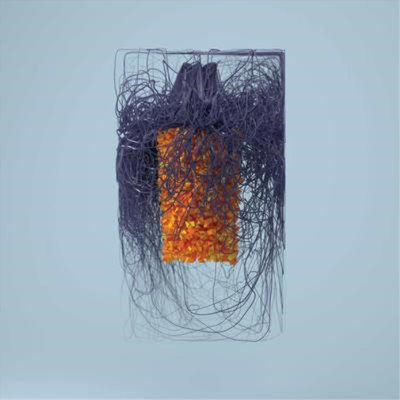 Plaid Polymer (CD) Album