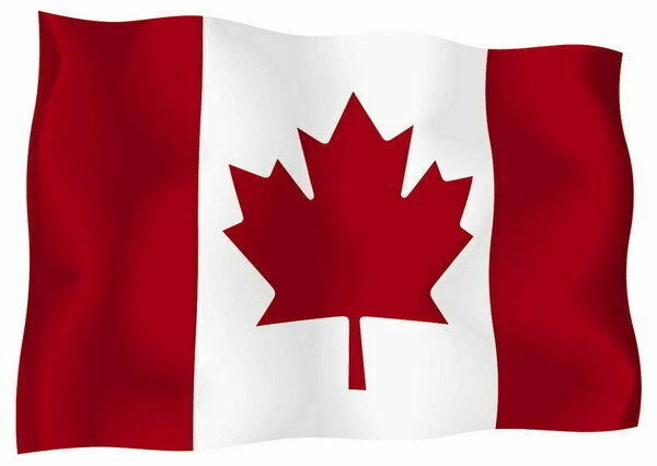 Platoon/Windtalkers (DVD-2007, 2-Disc Set-WAR-French & English-FREE SHIP CANADA - Image 3 of 4